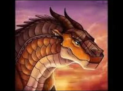 Depuis le changement de la Lignée Royale des Ailes de Boue, qui est devenue reine ?