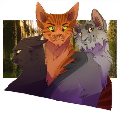 Aimes-tu grimper aux arbres ?