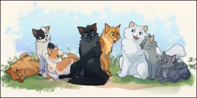 Aimes-tu le Clan du Tonnerre ?