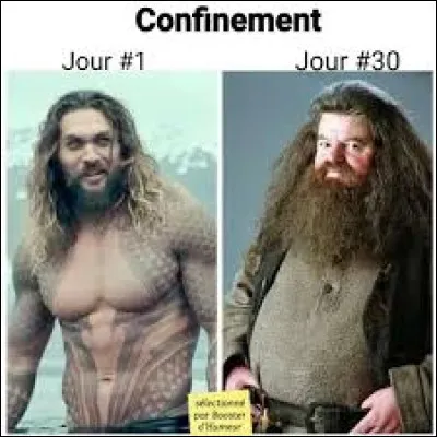 Top 13 : Rubeus Hagrid
Quelles sont ses particularités ?