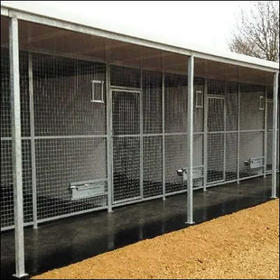 Dans quel film danimation de Disney réalisé par Chris Sanders une fillette adopte-t-elle un chien vraiment bizarre dans un chenil ?