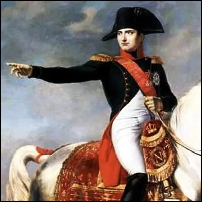 Quel oiseau, devenu courant à Paris, possède des espèces de Bonaparte et à tête grise ?