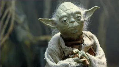 Le célèbre maître Yoda est mort à l'âge de...
