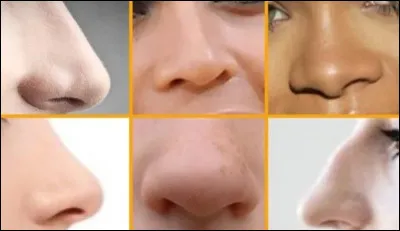 Qui amadoua Cerbère avec un gateau de miel ?