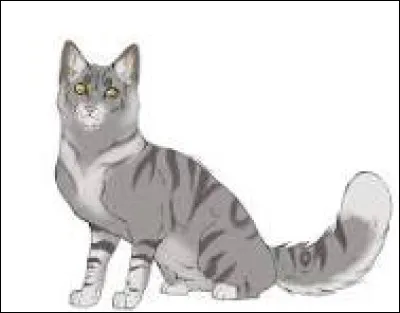 Finalement, ton mentor est Fleur de Saule. Elle te demande ce que tu veux faire pour cette première journée d'entraînement. Tu réponds...