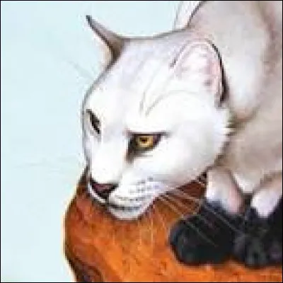 Vous croisez une patrouille du Clan de l'Ombre ! Que fais-tu ?