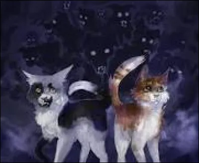 Étoile Bleue te nomme finalement guerrière en tant que Clair de Lune, en même temps que Nuage Blanc, Nuage de Neige, Nuage Agile, Nuage d'Épines et Nuage de Fougère, qui étaient plus âgés que toi ! Tu es donc privilégiée ! Tu fais la veillée, mais tu sens une certaine fatigue...