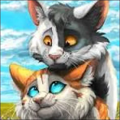 Tu apprends que Patte Agile et Cur Blanc attendent des chatons ensemble ! Que fais-tu de cette info ?