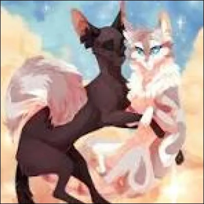 Il s'appellera Petit Silex, future Patte de Silex, et surtout, prochain chef après Étoile de Feu.
Maintenant, la prochaine. Une jolie femelle grise aux remarquables yeux bleus (femelle à droite). Comment l'appelles-tu ?