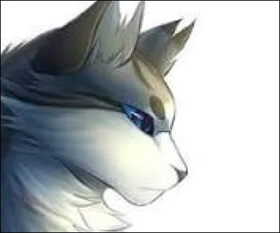 Elle s'appellera Petit Argent, futur Lac d'Argent, je veux dire celle que tu viens juste de nommer.)
Maintenant, la dernière : une femelle grise et blanche aux yeux bleu sombre.
Comment l'appelles-tu ?