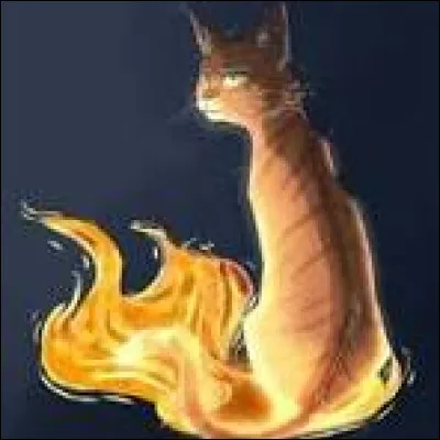 Elle s'appellera Petite Brume, future Moustache de Brume.
Oh non... Étoile Bleue est morte et Étoile de Feu a pris le relais. Que penses-tu de tout ça ?