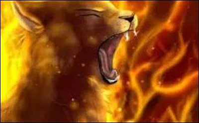 Lors d'une bataille contre le Clan de l'Ombre, Étoile de Feu veille, proche de toi. Il te demande qui il devrait choisir comme nouveau lieutenant. Tu dis...