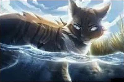 Mais quel est ton défaut, maintenant ?