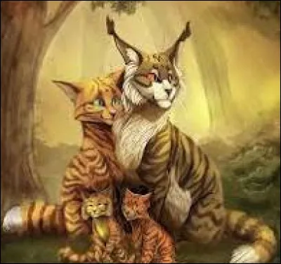 Noté ! Es-tu une femelle ou un mâle ?