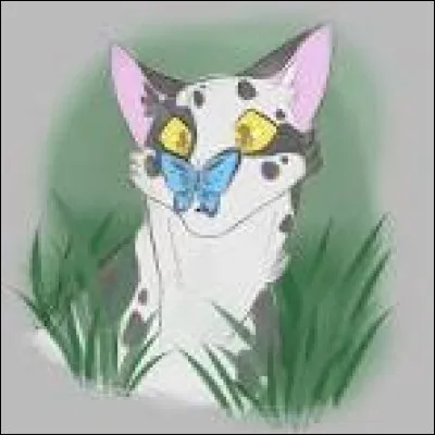 Comment essaierais-tu de prouver que, en tant qu'apprenti, tu es prêt à devenir guerrier ?