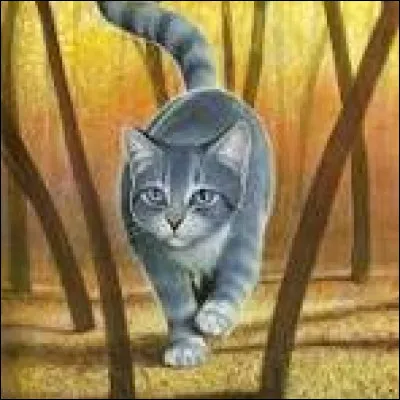 Commençons une histoire. 
Tu es une femelle gris clair qui se nomme Petite Lune. Tu n'as pas de frères et surs, et ton père est mort à ta naissance. À quoi aimes-tu jouer avec tes amis, dans la tanière ?