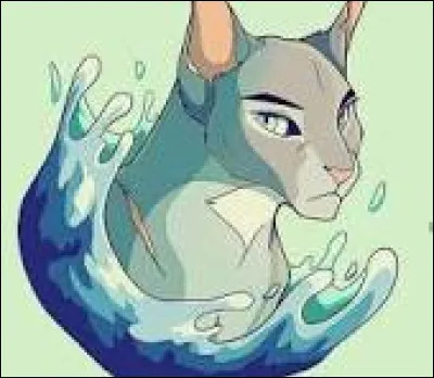 Le beau jour arrive, Étoile Bleue te nomme apprentie ! De qui veux-tu être l'apprentie ?