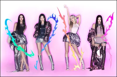 Quel est leur fandom ?