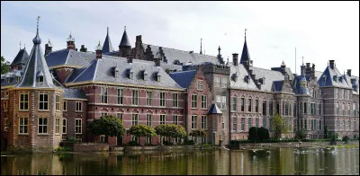 Le gouvernement ainsi que la plupart des institutions nationales des Pays-Bas siègent à La Haye.