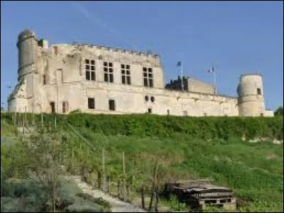 Je vous emmène maintenant en Nouvelle-Aquitaine au château de Bouteville. Commune de l'arrondissement de Cognac, elle se situe dans le département ...