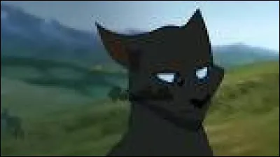 Comme mâle, tu préfères :