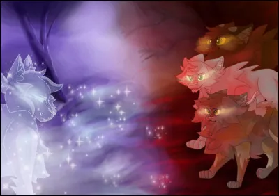 En fonction des choix que tu as pris dans ta vie, où penses-tu aller après ta mort ?