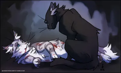 Il finit par s'enfuir, tu rentres au camp et te fais soigner. Deux ou trois jours après, tu repars dans la forêt et tombes sur son cadavre. Ses blessures se sont infectées et il est mort ! Que fais-tu ?