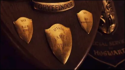 Qui attend Harry devant le miroir du Rised après avoir traversé toutes les épreuves ?