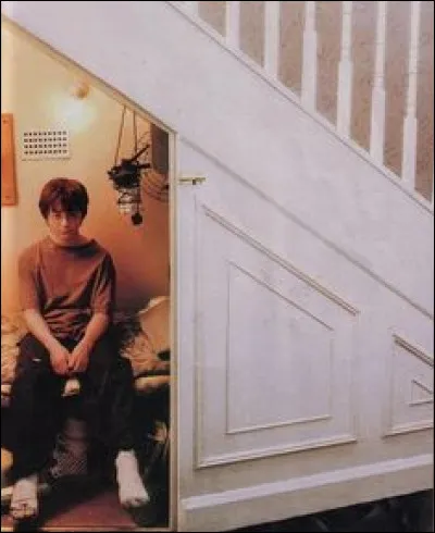 Voldemort meurt-il ?