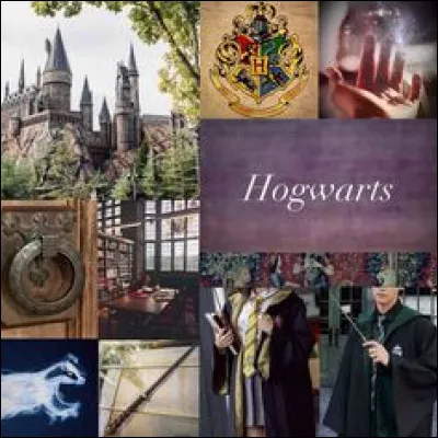 Qui devient l'ennemi juré de Harry au cours de cette année ?