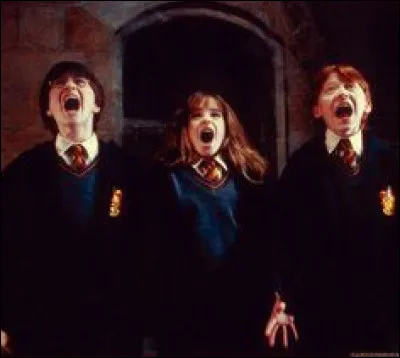 Où Hermione apprend-elle l'existence de la pierre philosophale ?