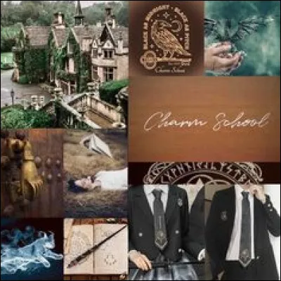 Quel est l'animal gardé secrètement par Hagrid ?