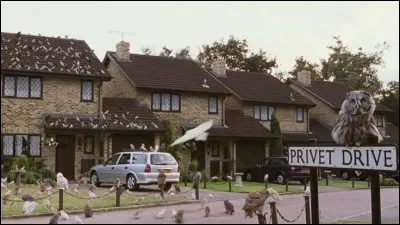 Qui espionne Ron, Harry et Hermione lorsque Hagrid leur montre Norbert ?