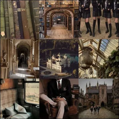 Harry reste-t-il à Poudlard pendant les fêtes de Noël ?