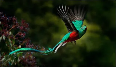 Trouvez le titre d'une chanson des Black Eyed Peas !