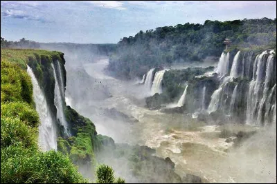 Synonyme de moutarde des champs !