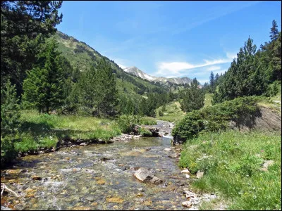 Dans la chanson "La bohème", que retouche-t-il dans le dessin d'une hanche ?