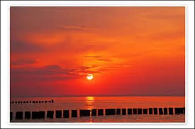 À quel chanteur doit-on "Du soleil dans la nuit" en 1988 ?