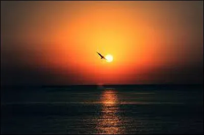 Quel duo interprète "Soleil" en 2024 ?