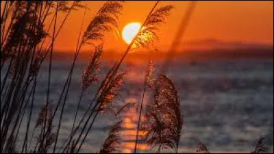 À quel chanteur doit-on "Duel au soleil" en 1986 ?