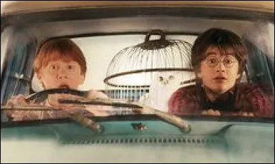 Quelle est la marque de la fabuleuse voiture volante de Mr Weasley ?