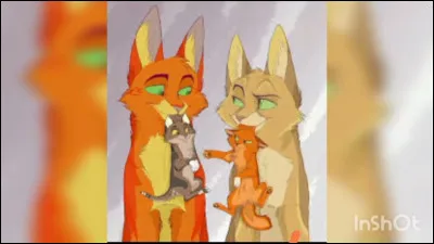 Qui sont les enfants dÉtoile de Feu ?