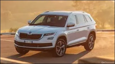 Quel est le nom de ce modèle ?