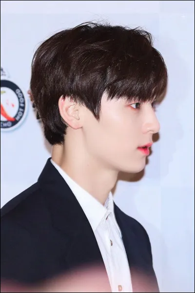 A quel animal Minhyun de NU'EST est-il comparé ?