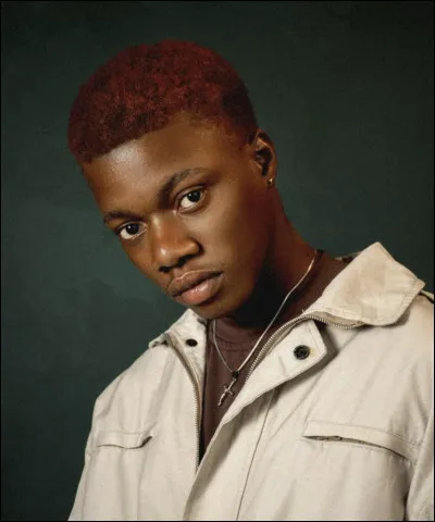 Qui est ce tribut du district 11 ?