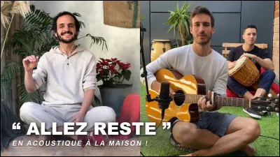 Qui chante "Allez reste" ?