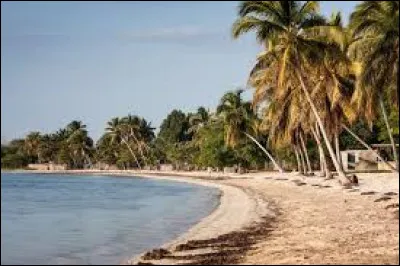 Dans quel pays se situe la baie des Cochons ?