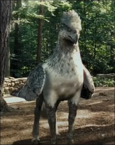 Tante Marge est tellement énervante, heureusement, Harry ne se laisse pas faire, que fait-il ?