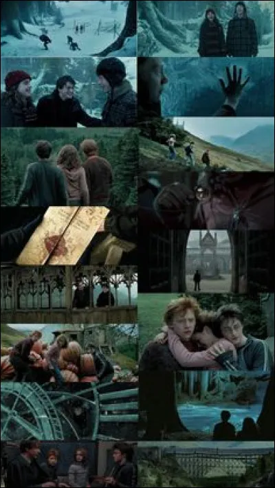 Heureusement, après s'être enfui, Harry trouve refuge au Chaudron Baveur. Une petite glace le tente bien. Comment s'appelle le marchand chez qui il va manger sa glace ?