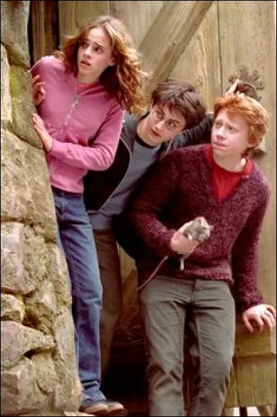 Au Chaudron Baveur, Mr Weasley prend Harry à part pour lui révéler un lourd secret. Sirius Black est de sa famille, mais qui est-ce ?